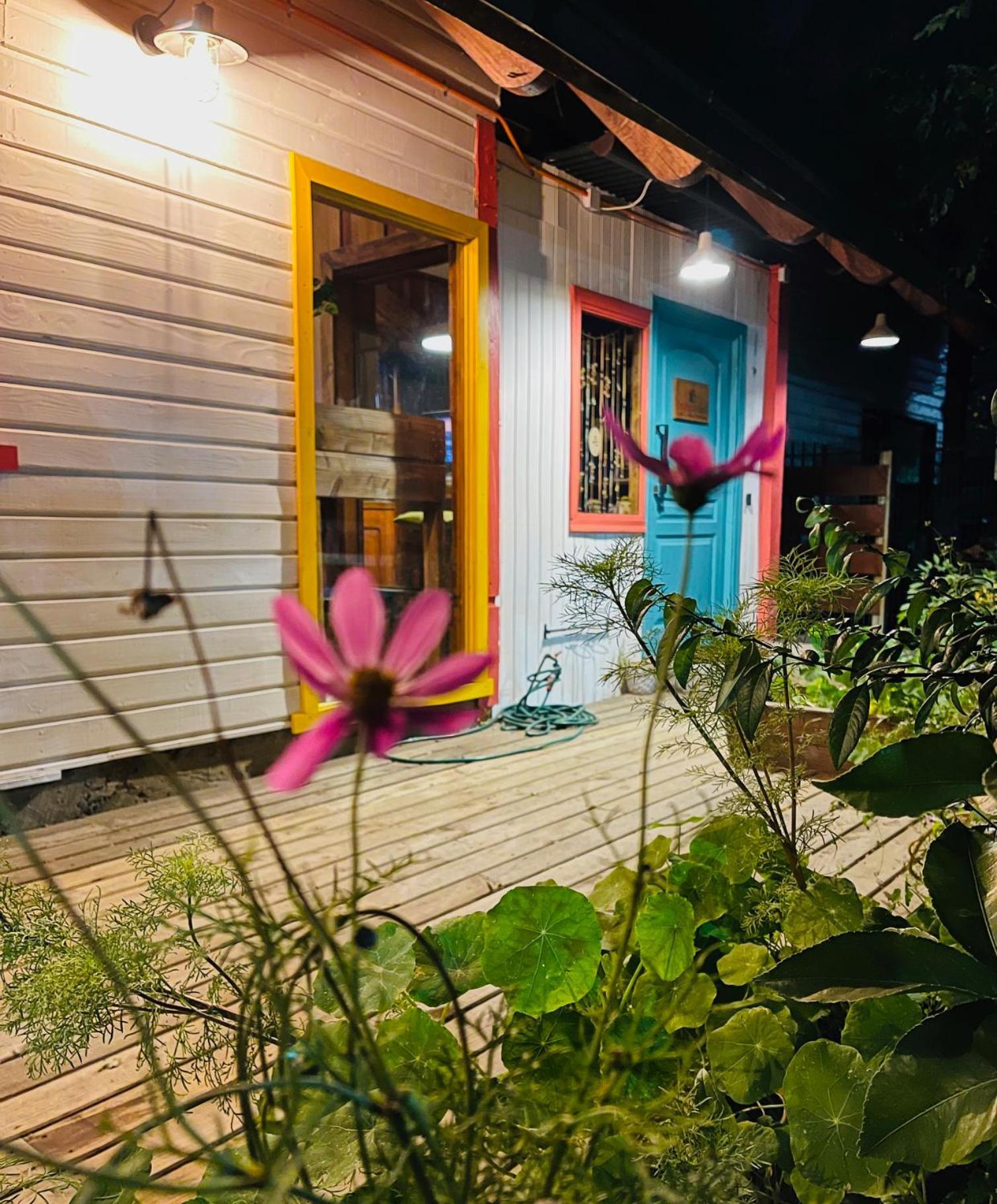 La Araucaria Hosteria Boutique - Ex Lounge Brasil Pucón Екстериор снимка